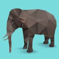 Elephant Polygon vector infographic Royalty Free Stock Photo