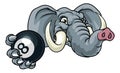 Elephant Pool 8 Ball Billiards Mascot Cartoon Royalty Free Stock Photo