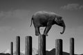 elephant precarious balance Royalty Free Stock Photo