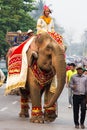 Elephant procession for Lao New Year 2014 in Luang Prabang, Laos Royalty Free Stock Photo