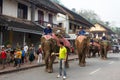 Elephant procession for Lao New Year 2014 in Luang Prabang, Laos Royalty Free Stock Photo