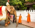 Elephant procession for Lao New Year 2014 in Luang Prabang, Laos Royalty Free Stock Photo