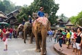 Elephant procession for Lao New Year 2014 in Luang Prabang, Laos Royalty Free Stock Photo