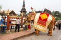 Elephant procession for Lao New Year 2014 in Luang Prabang, Laos Royalty Free Stock Photo