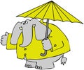 Elephant In A Raincoat