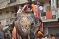 Elephant at Rathyatra, Ahmedabad