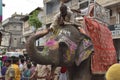 Elephant at Rathyatra, Ahmedabad