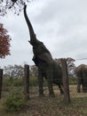 Elephant at the Kansas City Zoo