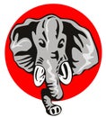 Elephant on red background Royalty Free Stock Photo