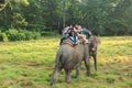 Elephant Ride in chitwan national park in nepal Royalty Free Stock Photo
