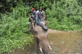 Elephant ride