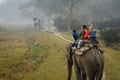 Elephant ride at Kaziranga National Park during early morning .One Horned Rhino .