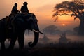 Elephant ride with mahout under a tree during the early dawn