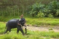 Elephant ride in Thailand