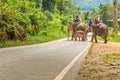 Elephant ride in village Chiang Mai, Thailand