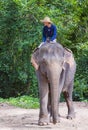 Elephant rider in Cambodia