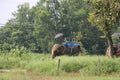 Elephant rider chitwan Nepal the trainer is using umbrella to escape scorting sun inside the forest Nepal chitwan Royalty Free Stock Photo