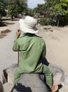 Elephant rider in Vietnam Royalty Free Stock Photo