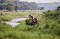 Elephant riders in Chitwan National Park Royalty Free Stock Photo