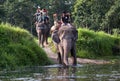 Elephant riders Royalty Free Stock Photo