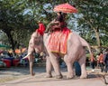 Elephant riding in Asia, Thailand