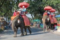 Elephant riding in Asia, Thailand