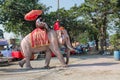 Elephant riding in Asia, Thailand