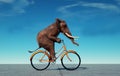 Elephant riding on bike. Impossible and happiness concept Royalty Free Stock Photo