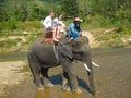 A guy and a girl ride an elephant in Thailand with a driver.