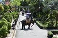 The elephant riding in the nature park is one of the exciting activities of tourists