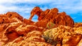 Elephant Rock formations in the Valley of Fire State Park in Nevada, USA Royalty Free Stock Photo