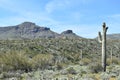 Elephant rock landscape with saguaro cactus and blue sky in the Sonoran Desert of Arizona Royalty Free Stock Photo