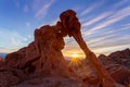 Elephant Rock in The Valley of Fire Royalty Free Stock Photo