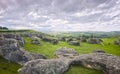 Elephant Rocks, New Zealand Royalty Free Stock Photo