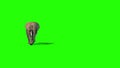 Elephant Runs Short Tusks Front Green Screen 3D Rendering Animation 4K