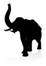 Elephant Animal Silhouette Royalty Free Stock Photo