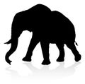 Elephant Safari Animal Silhouette Royalty Free Stock Photo