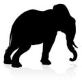 Elephant Safari Animal Silhouette Royalty Free Stock Photo