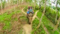 Elephant safari in Chitwan National Park, Nepal Royalty Free Stock Photo