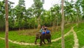 Elephant safari in Chitwan National Park, Nepal Royalty Free Stock Photo
