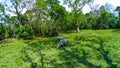 Elephant safari in Chitwan National Park, Nepal Royalty Free Stock Photo