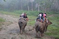 Elephant safari in chitwan national park in nepal. Royalty Free Stock Photo