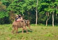 Elephant Safari in Chitwan , Nepal Royalty Free Stock Photo