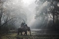 Elephant safari in Chitwan, Nepal Royalty Free Stock Photo