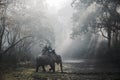 Elephant safari in Chitwan, Nepal