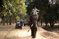Elephant safari in a national park