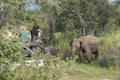 Elephant Safari in Polonnaruwa, Sri Lanka.