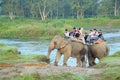 Elephant Safari. Royalty Free Stock Photo