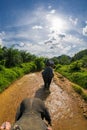 Elephant Safari in Thailand