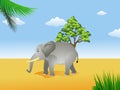 Elephant in the savanna